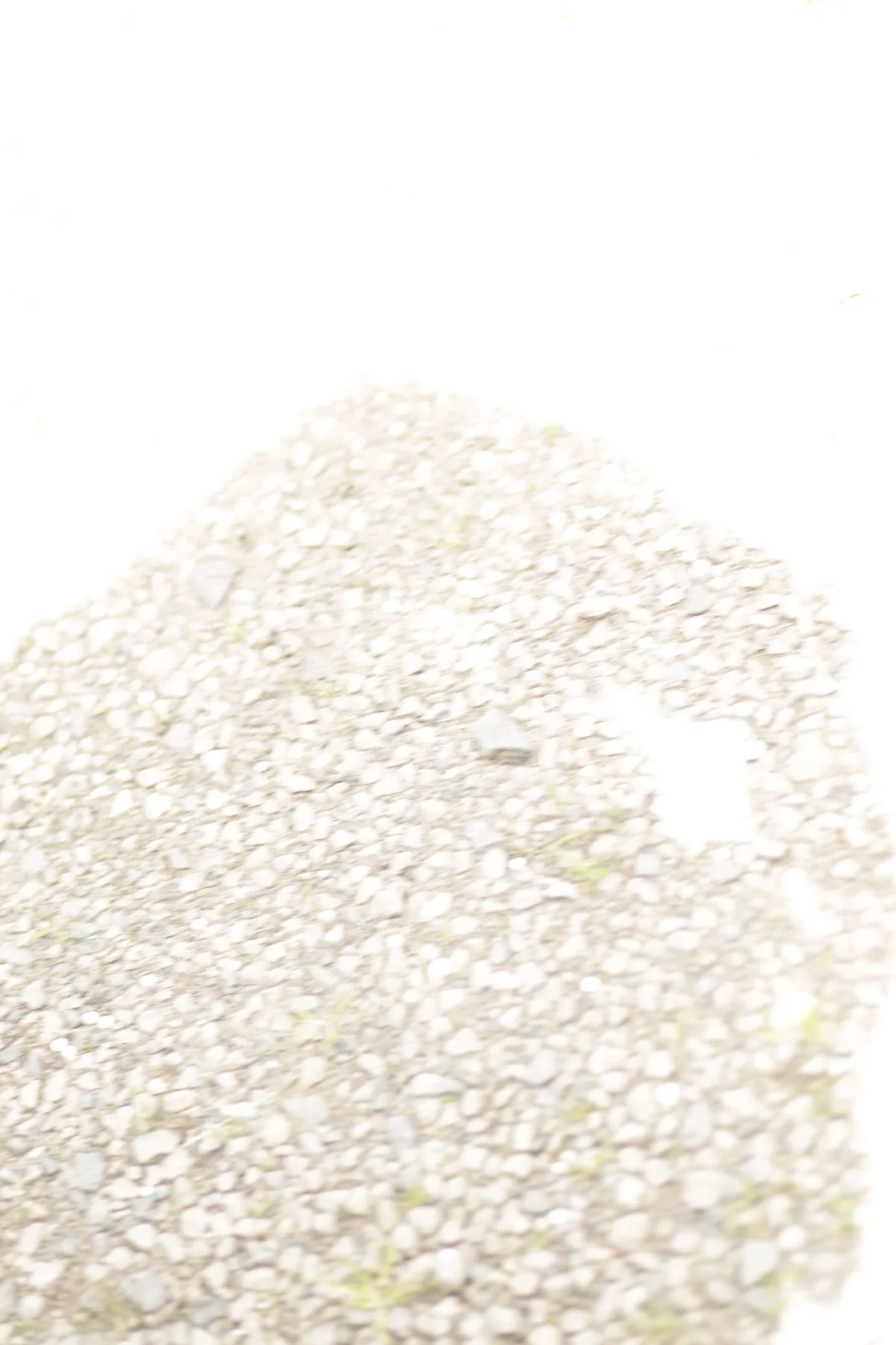 Bärenkopf